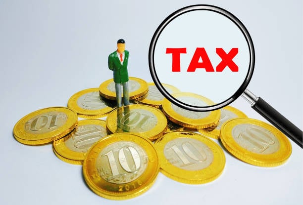 Financial Analysis- Elevar Tax